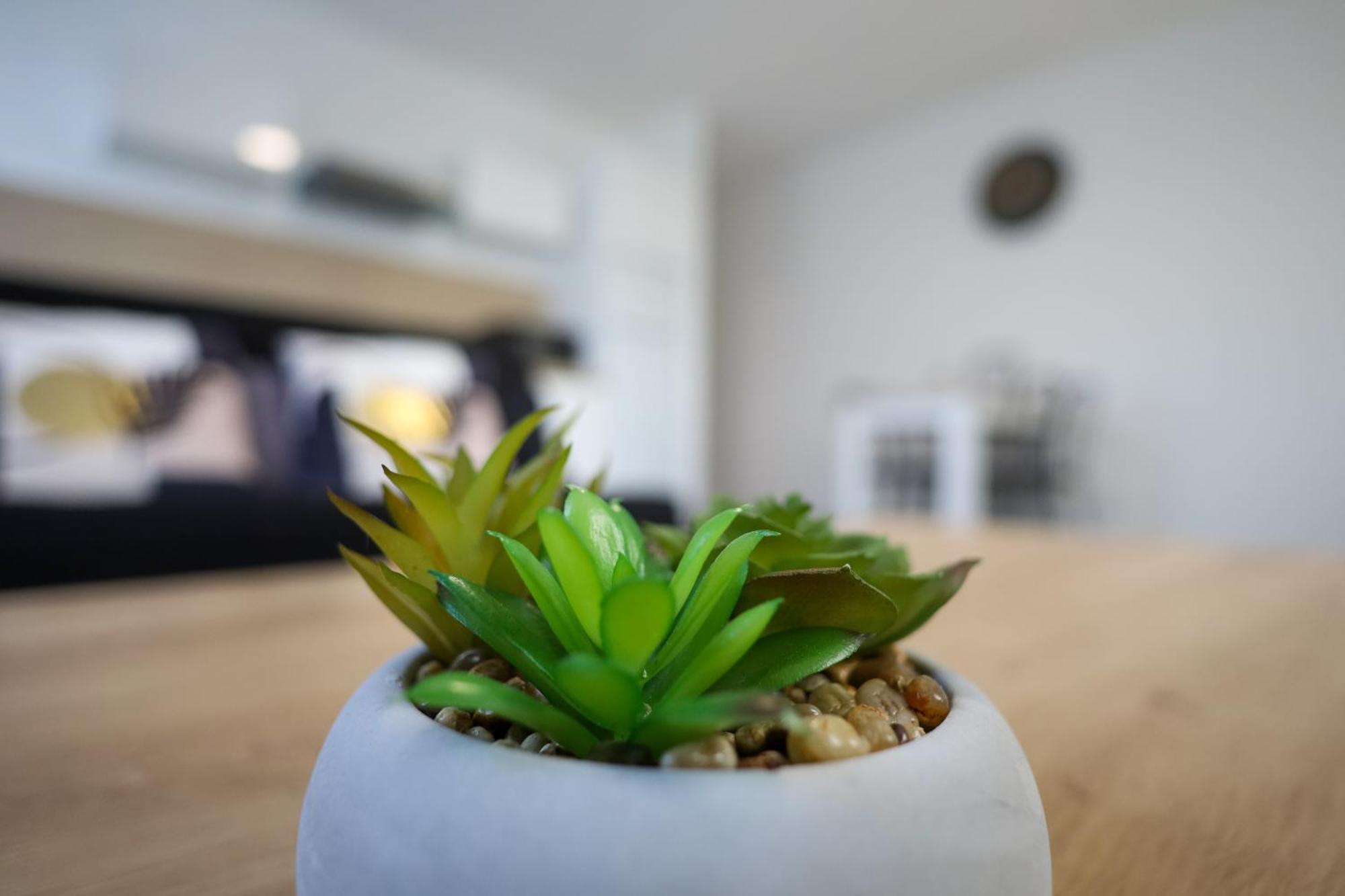 Le Westy 1 Apartment Hieres-Sur-Amby Ngoại thất bức ảnh